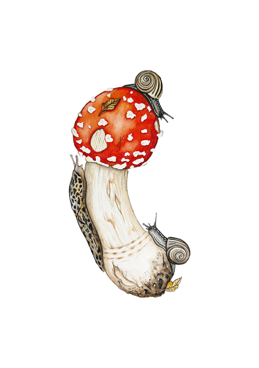 Amanita muscaria, Leopard Slug and White-lipped Grove Snails Print