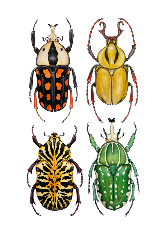 Fruit Beetles Print