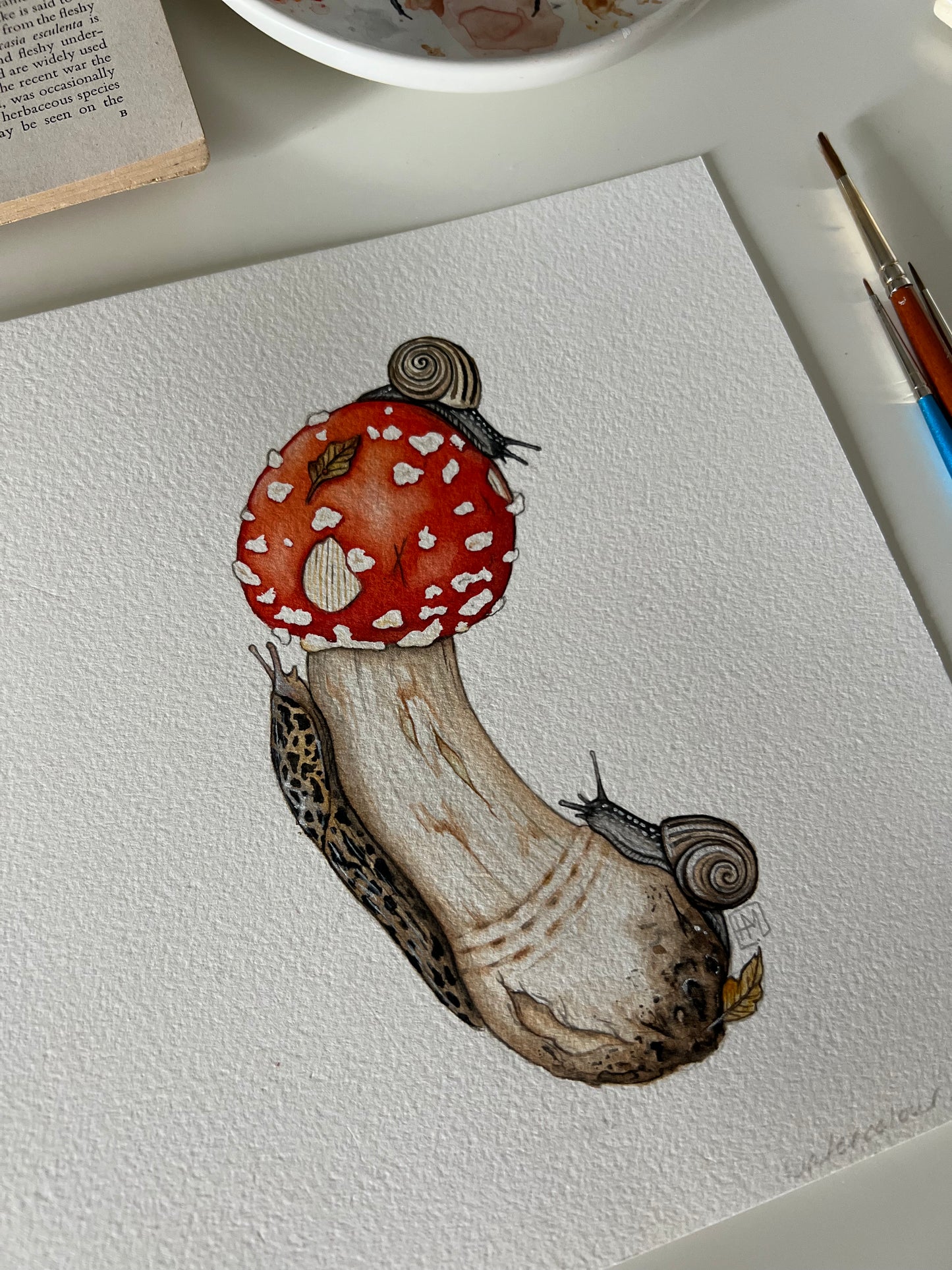 Amanita muscaria, Leopard Slug and White-lipped Grove Snails ORIGINAL