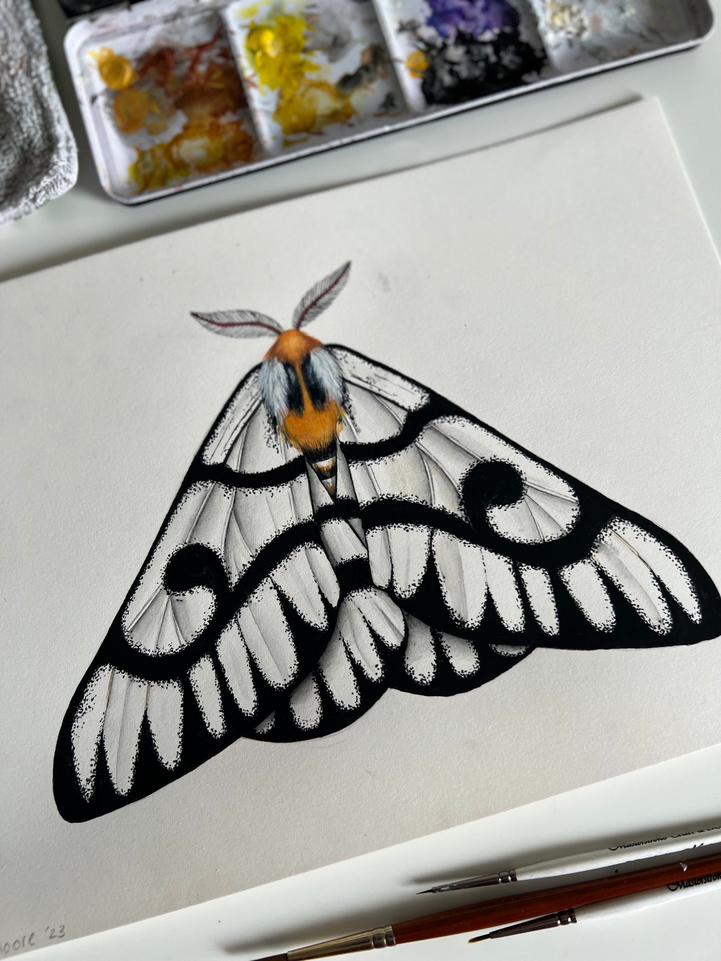 Hera Buckmoth, Watercolour Original