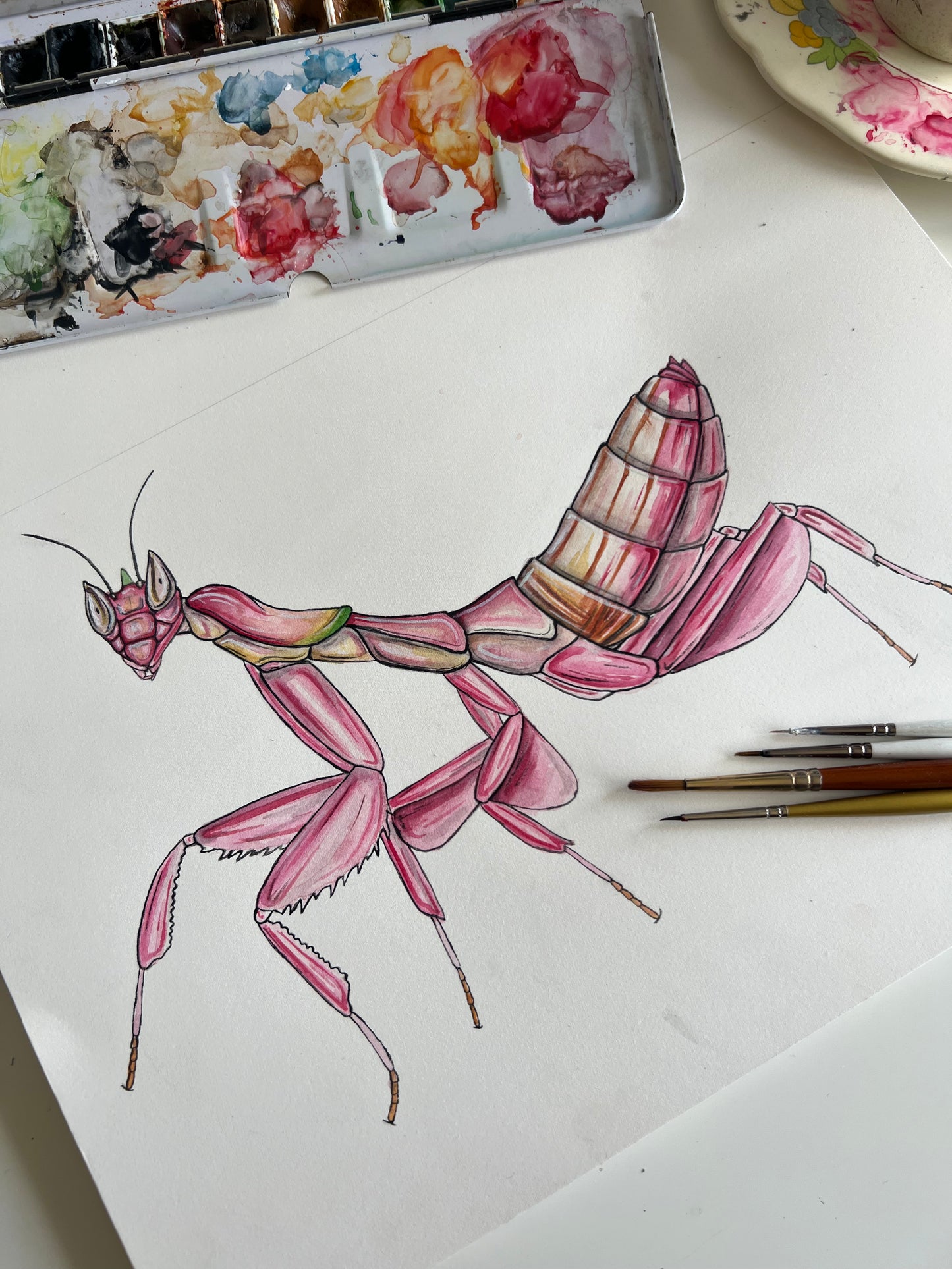 Orchid Mantis, Watercolour Original