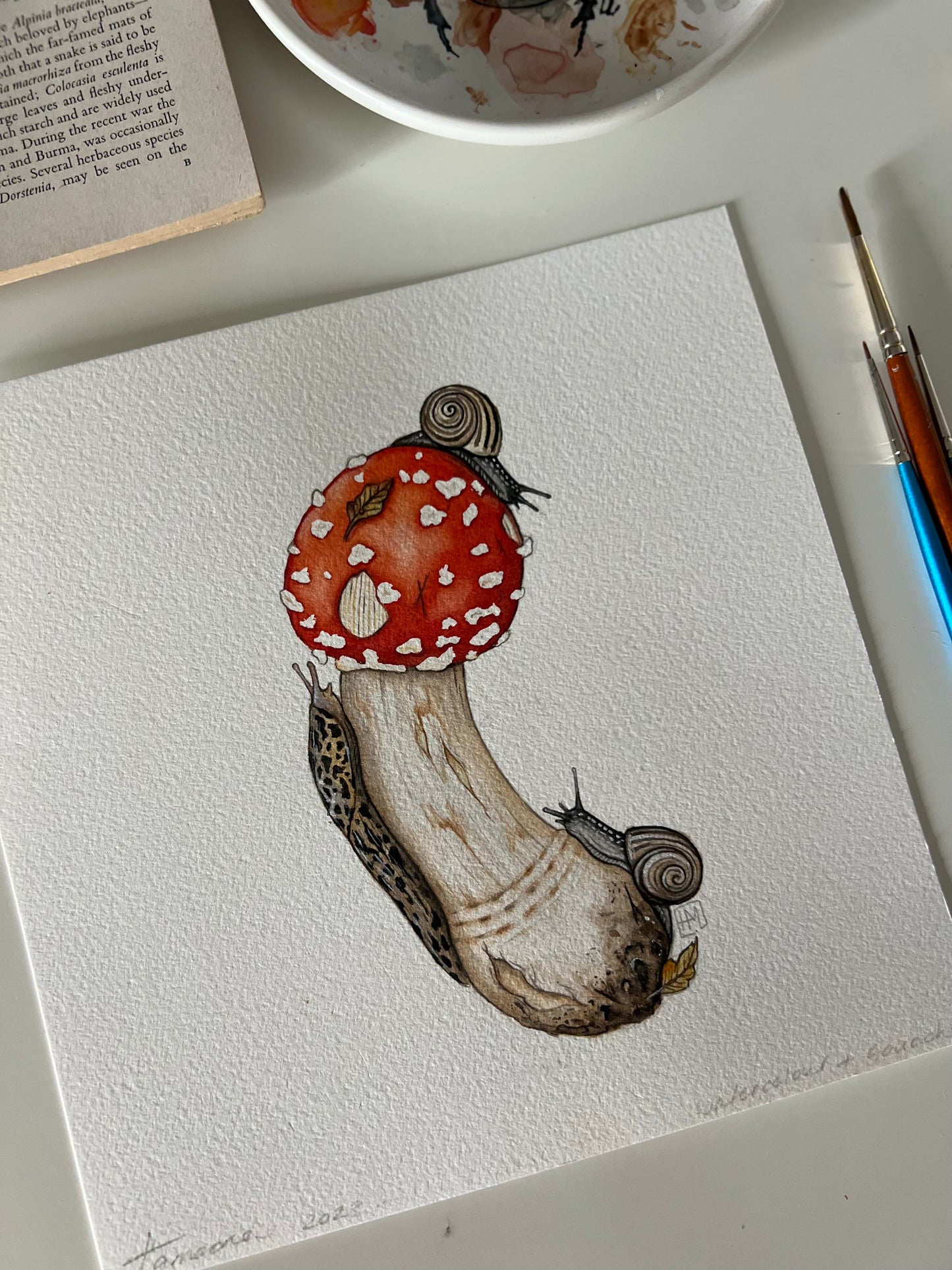 Amanita muscaria, Leopard Slug and White-lipped Grove Snails ORIGINAL