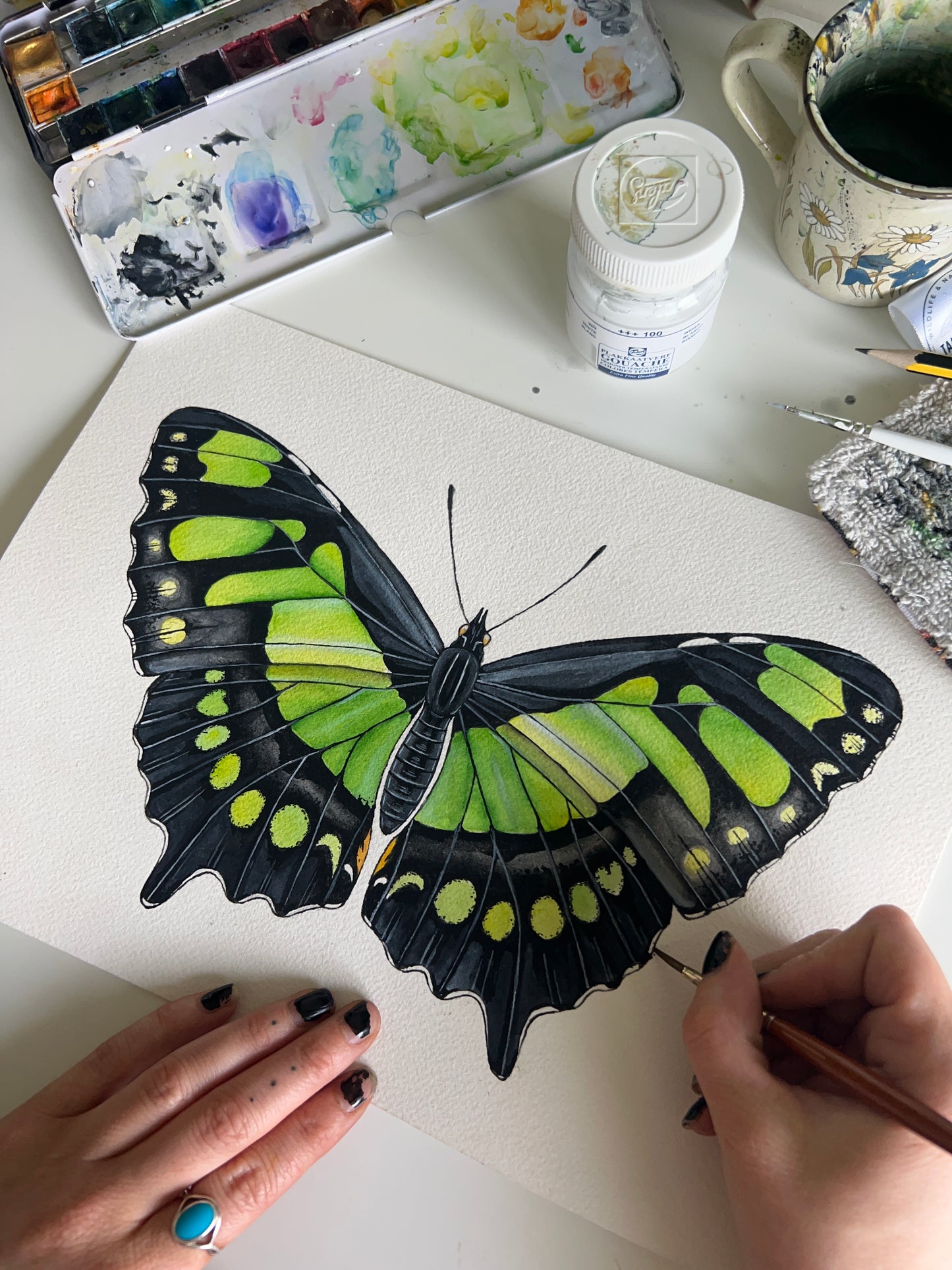 Original Malachite Butterfly