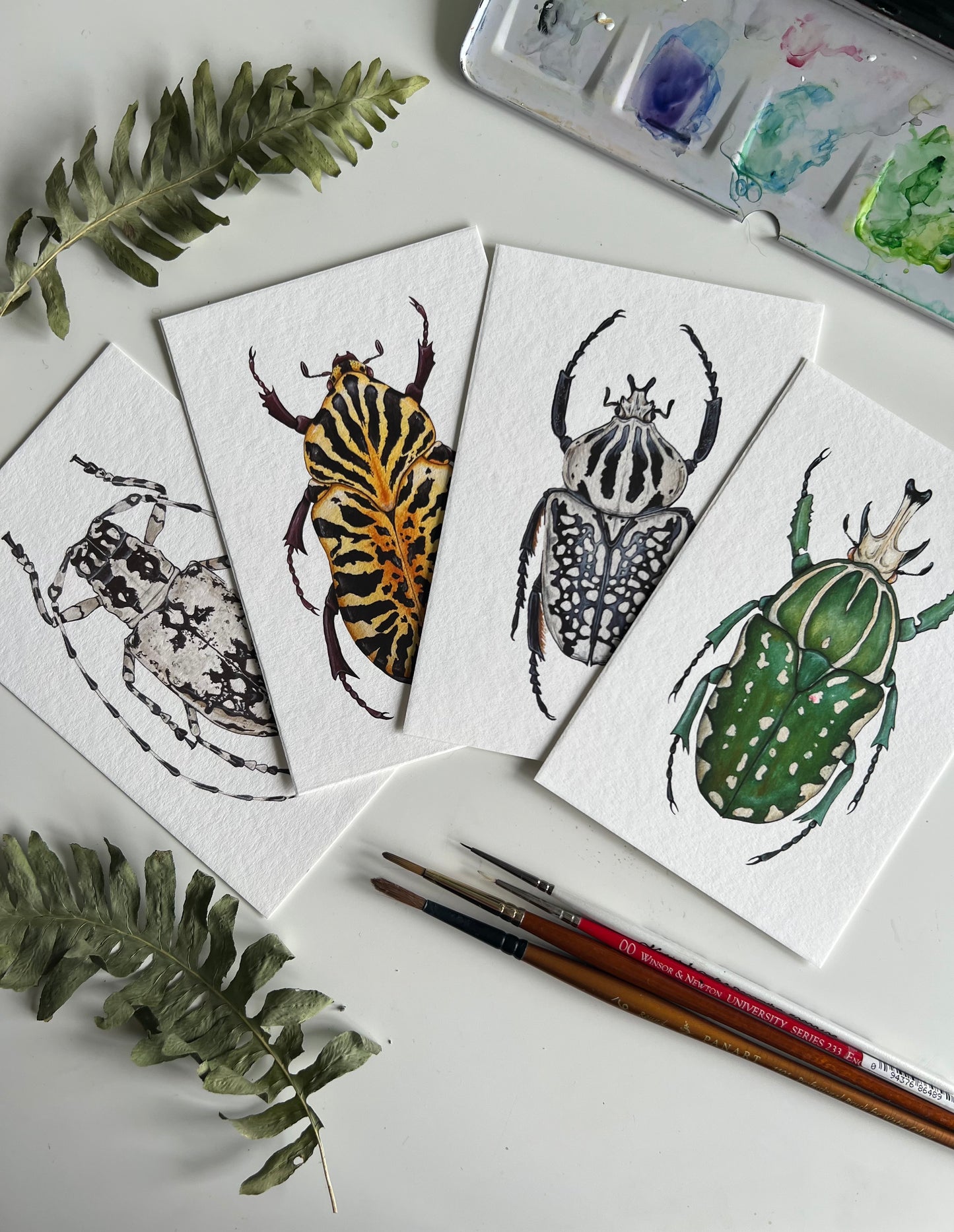 Beetle Print Set No 2