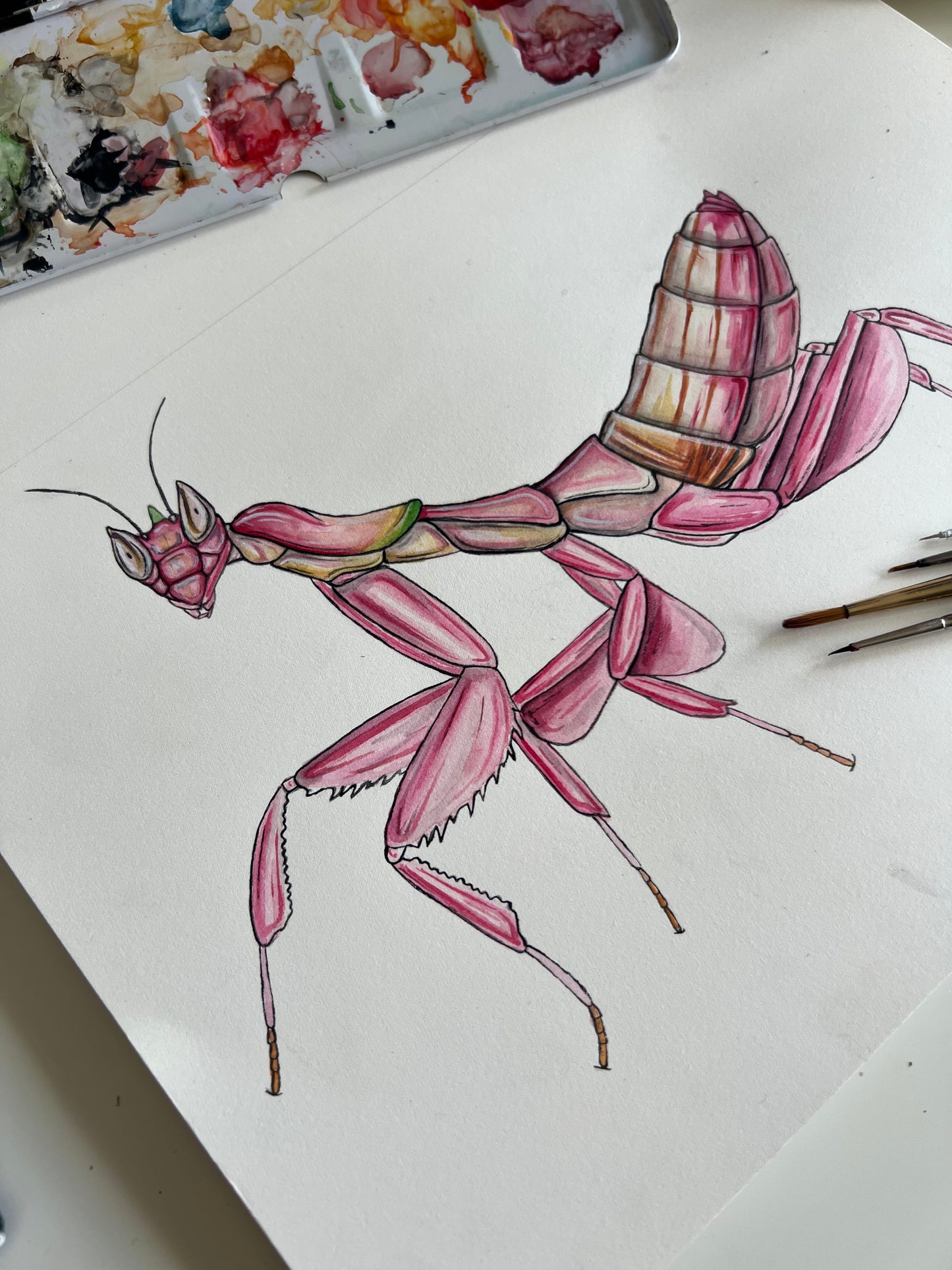 Orchid Mantis, Watercolour Original