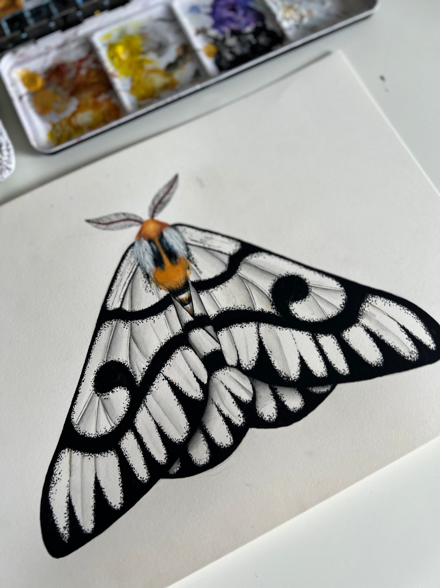 Hera Buckmoth, Watercolour Original