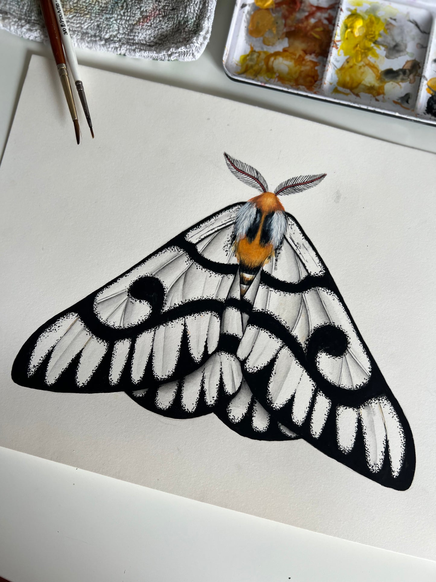 Hera Buckmoth, Watercolour Original