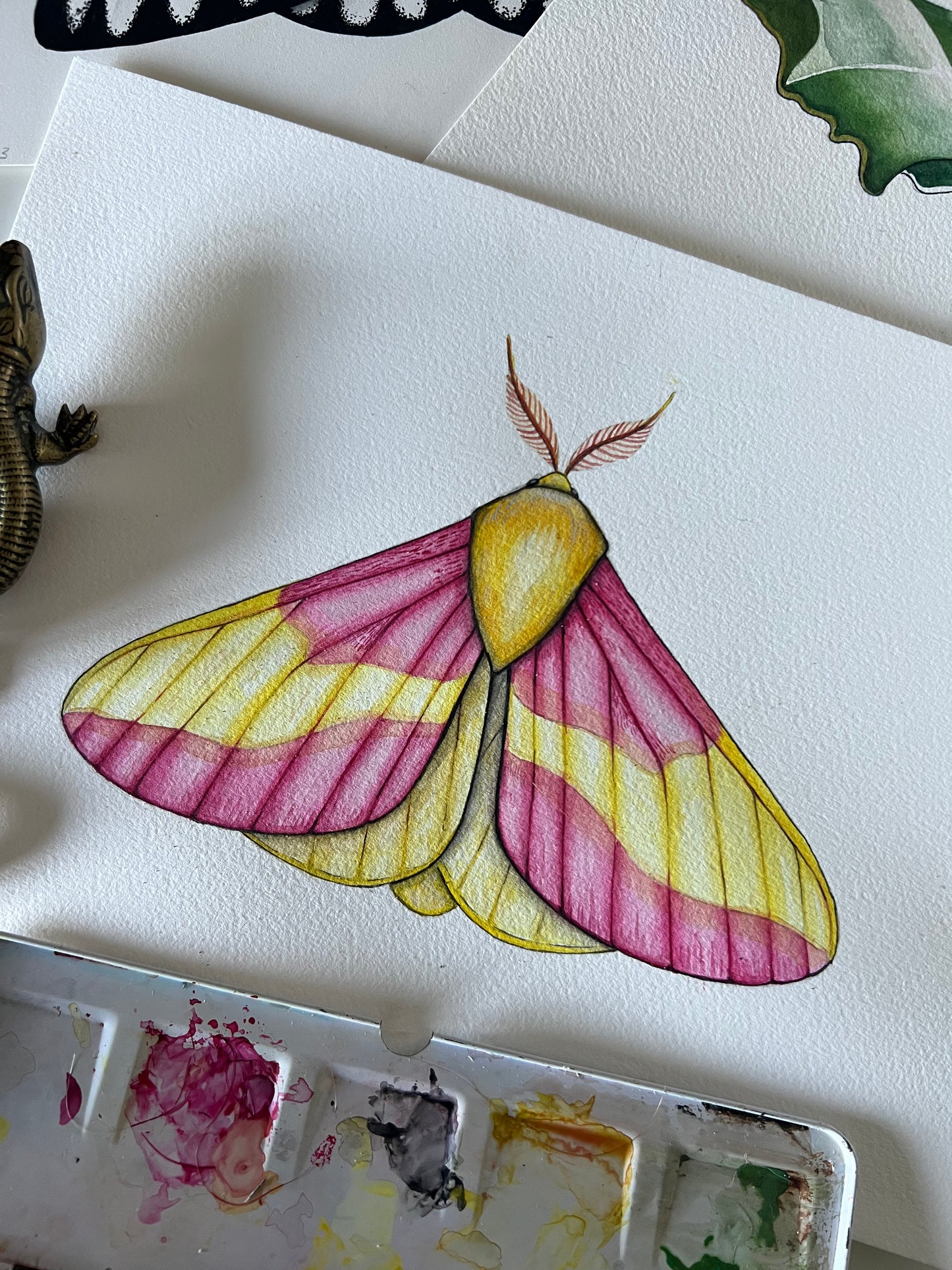 Rosy Maple Moth, Watercolour Original