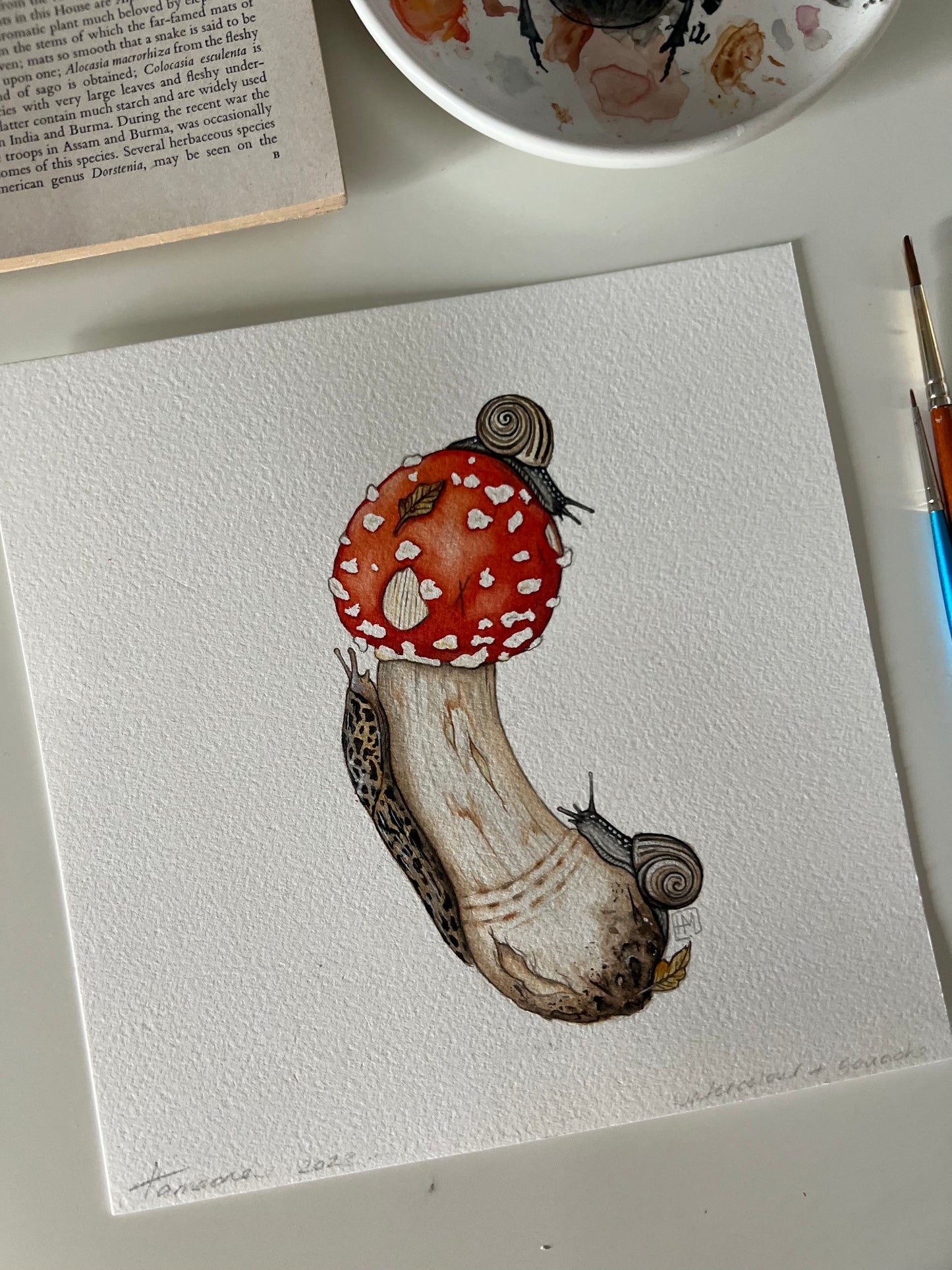 Amanita muscaria, Leopard Slug and White-lipped Grove Snails ORIGINAL