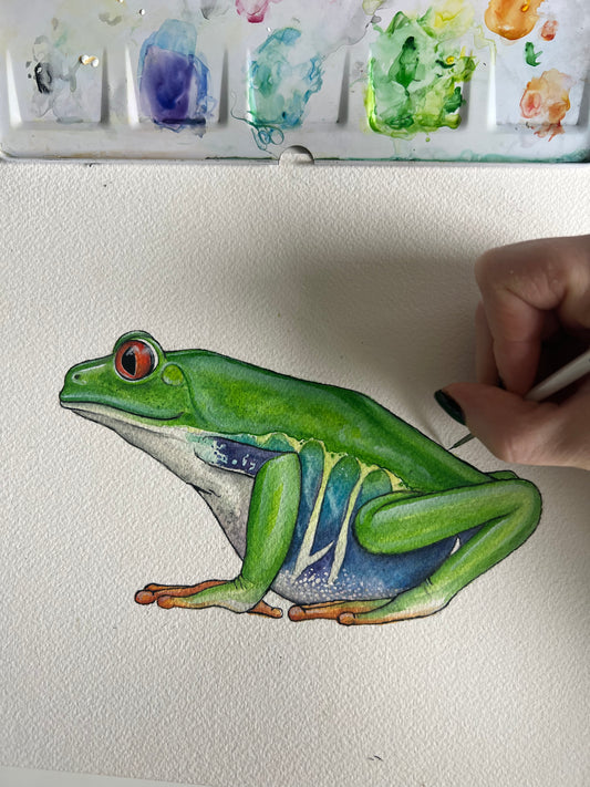 Original Red Eyed Tree Frog