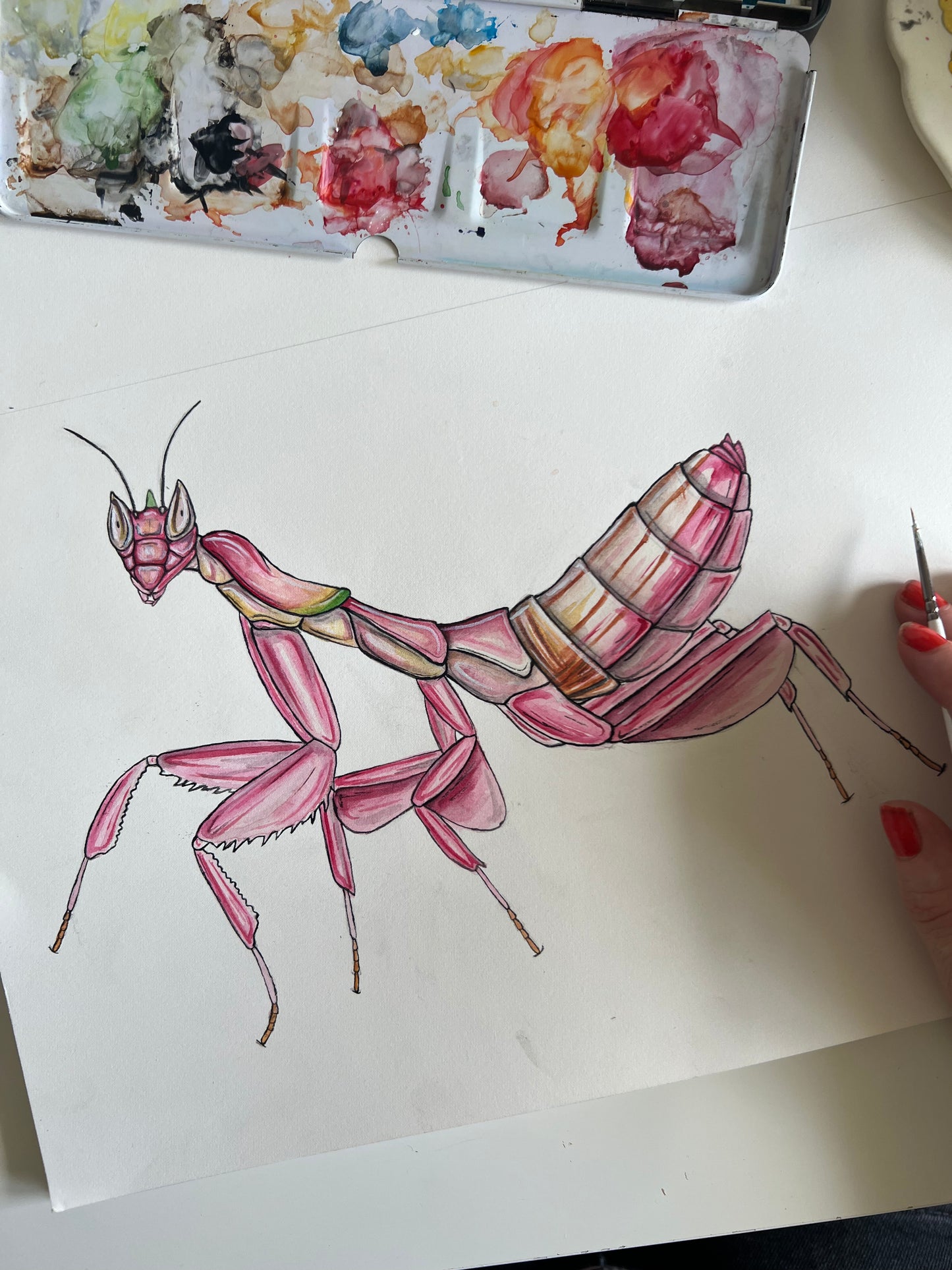 Orchid Mantis, Watercolour Original