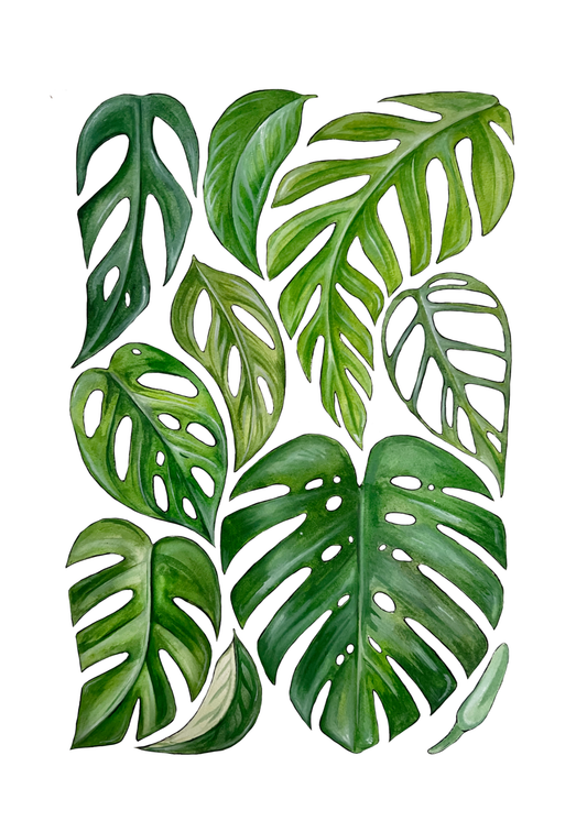 Monstera Print