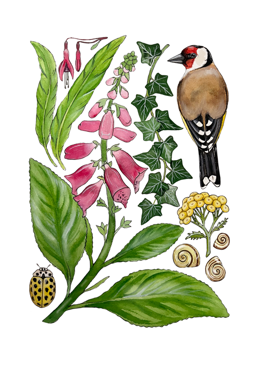 Wild Cottage Garden Print