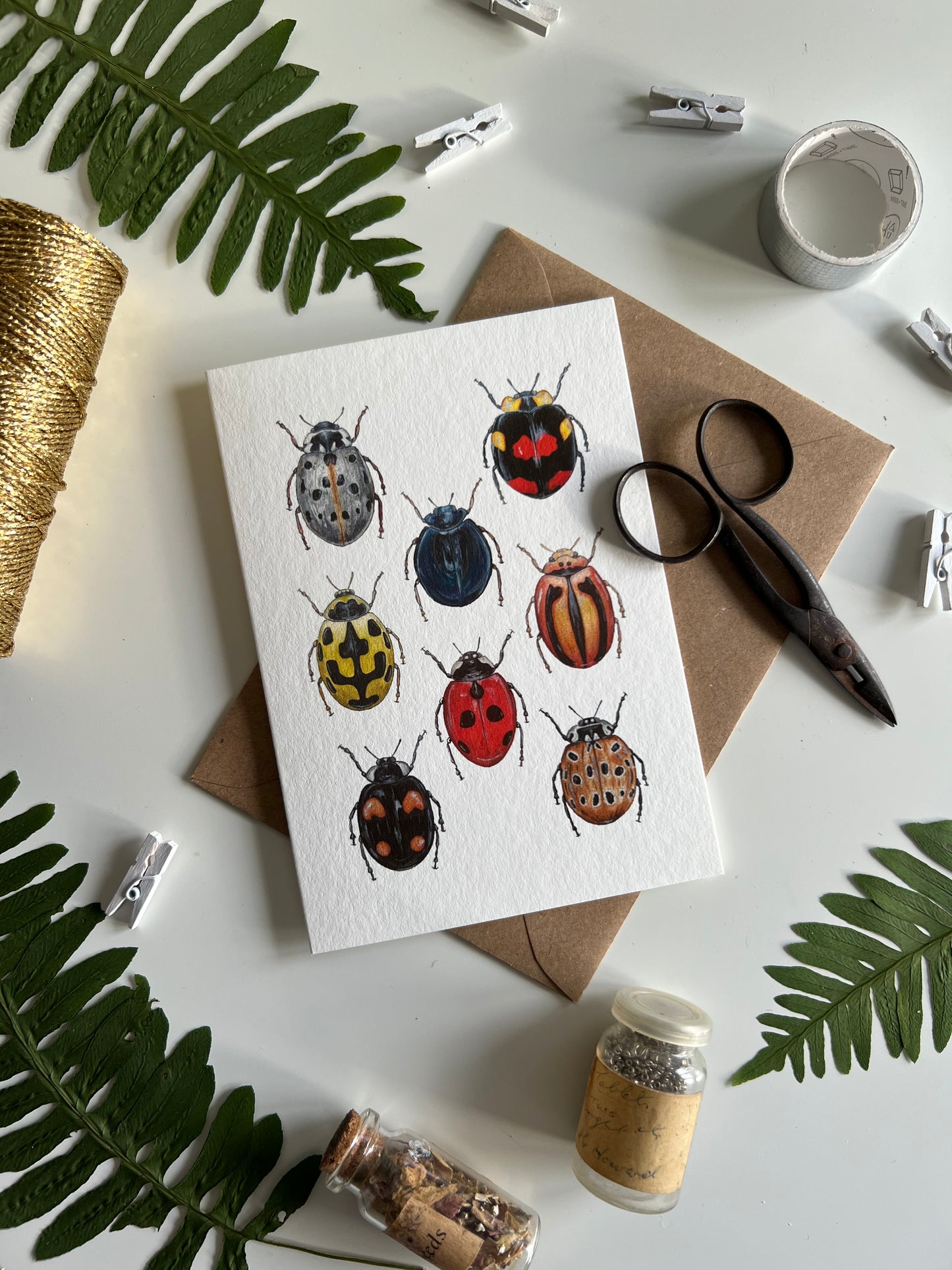 Ladybirds Card