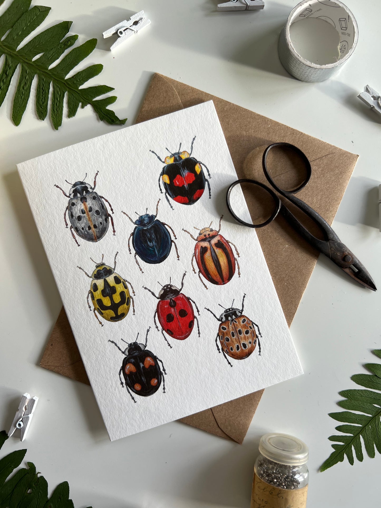 Ladybirds Card