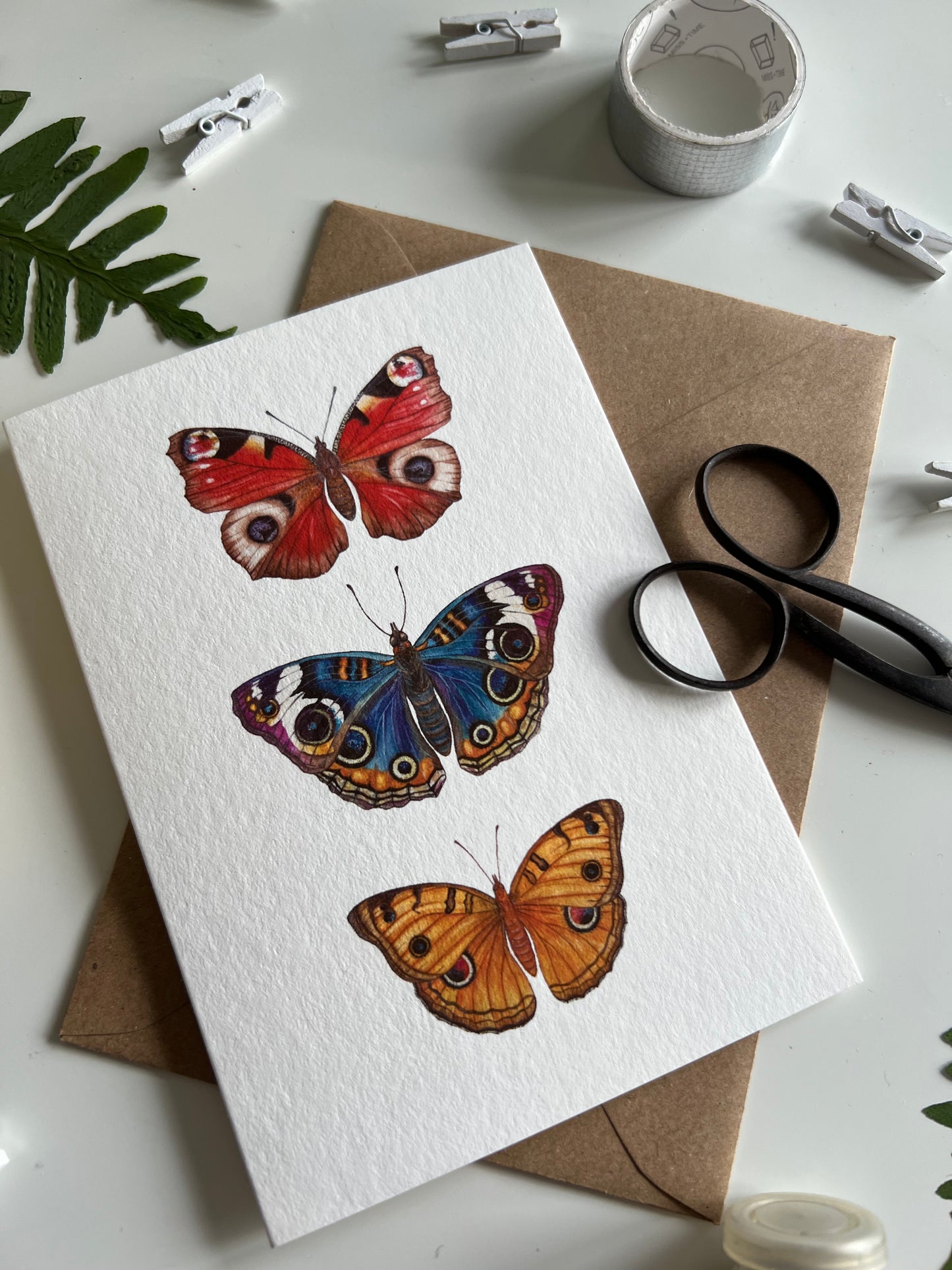 Butterflies Card