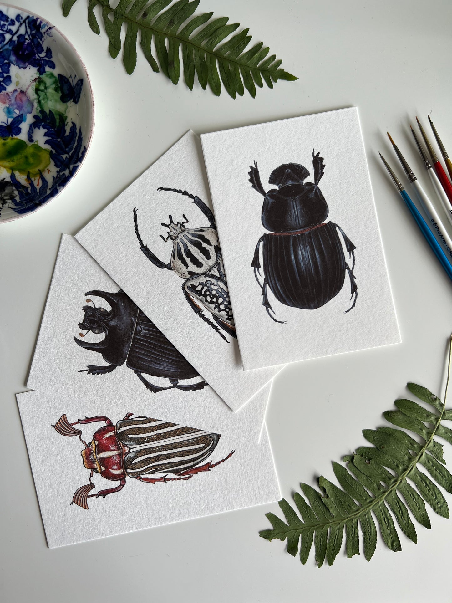 Beetle Print Set