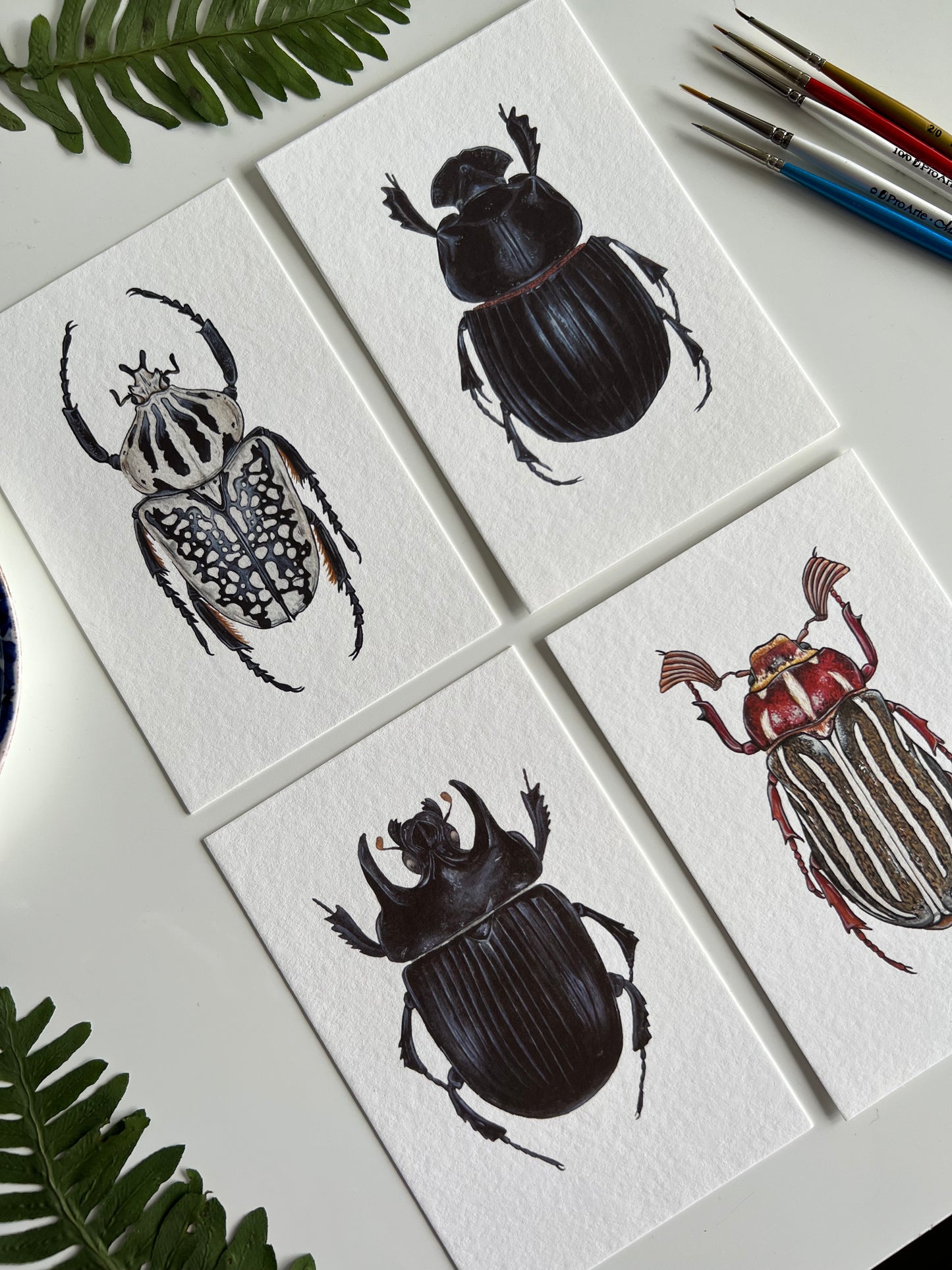 Beetle Print Set