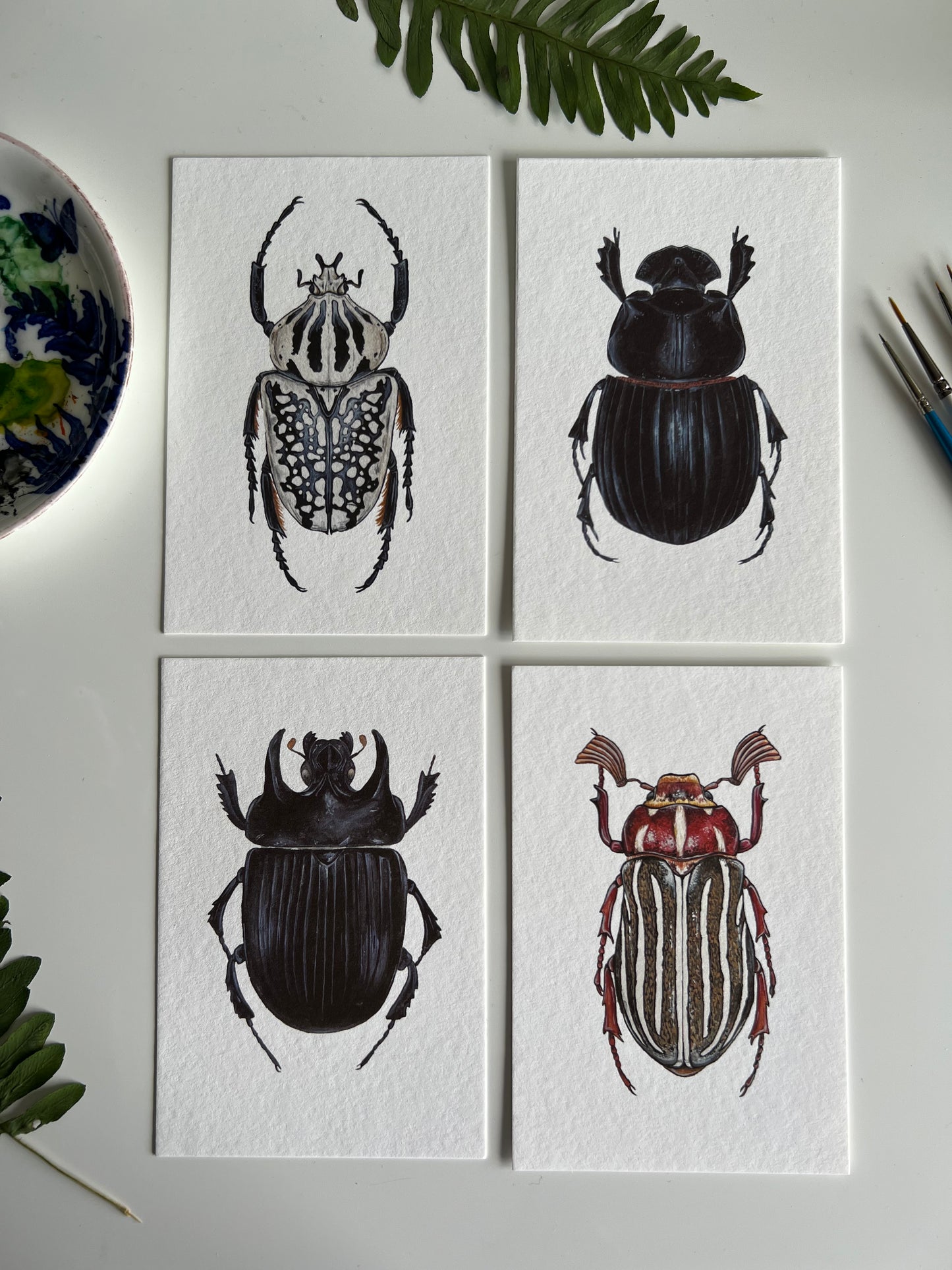 Beetle Print Set