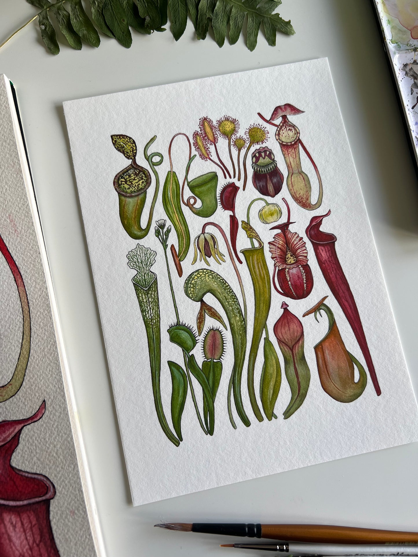 Carnivorous Plants Print