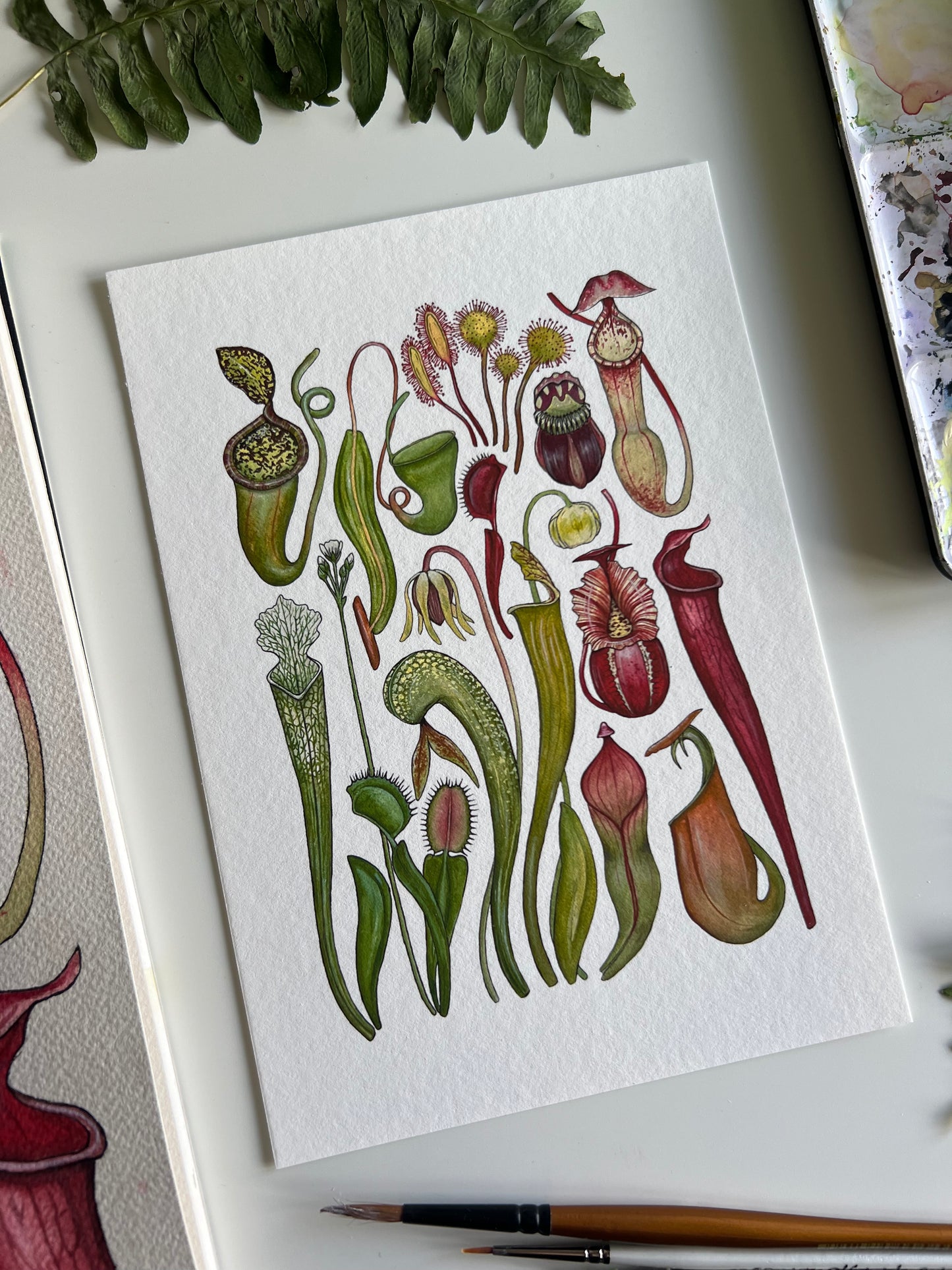 Carnivorous Plants Print