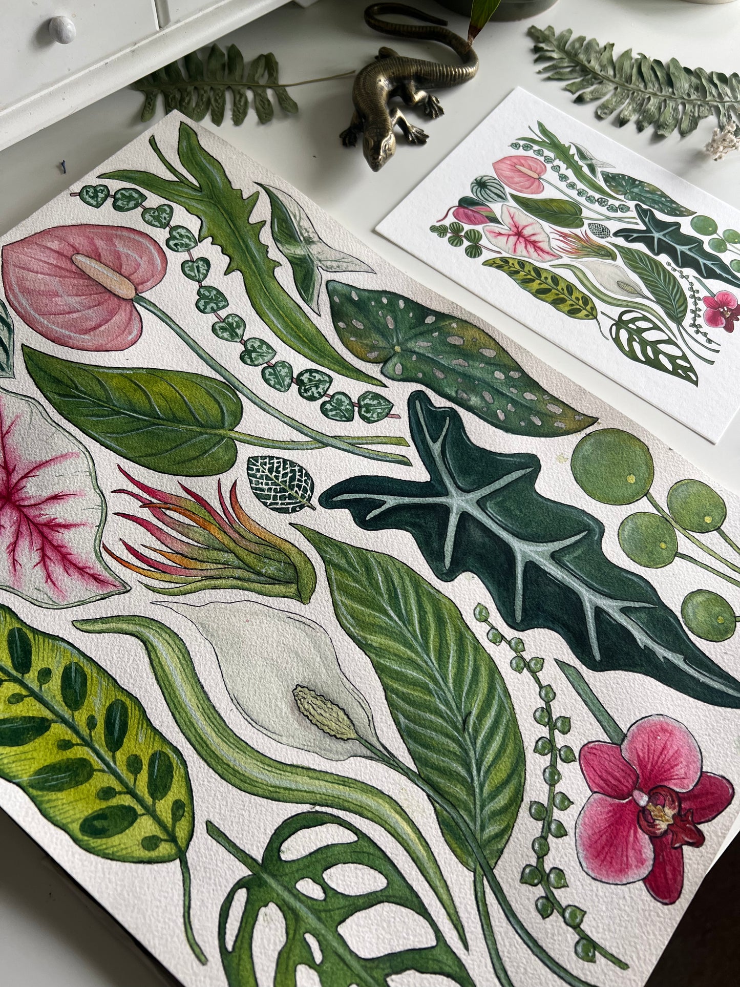 House Plants Print