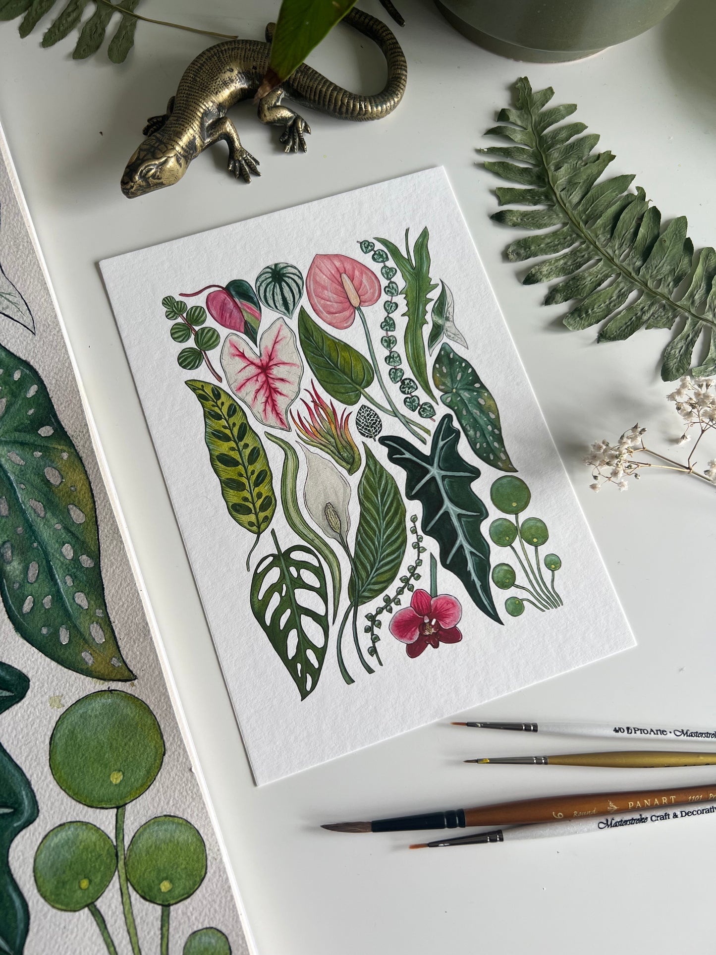 House Plants Print