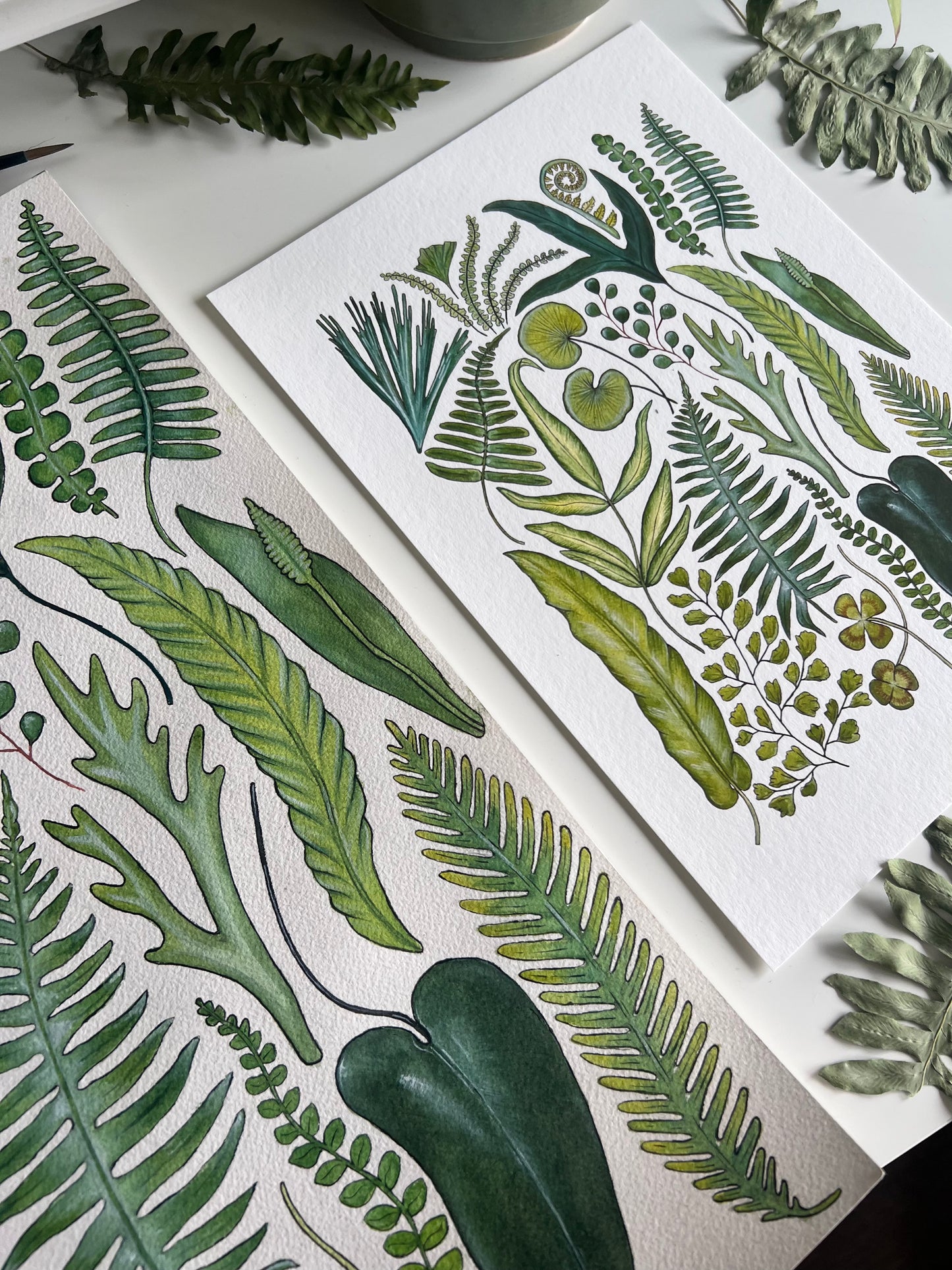 Fern Print