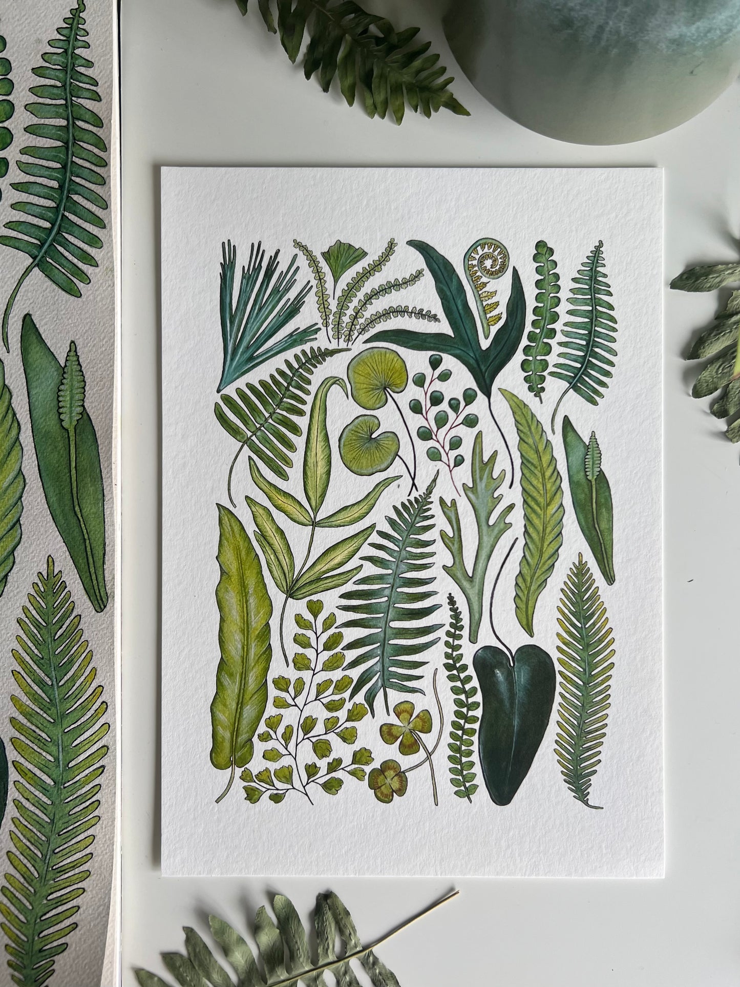 Fern Print