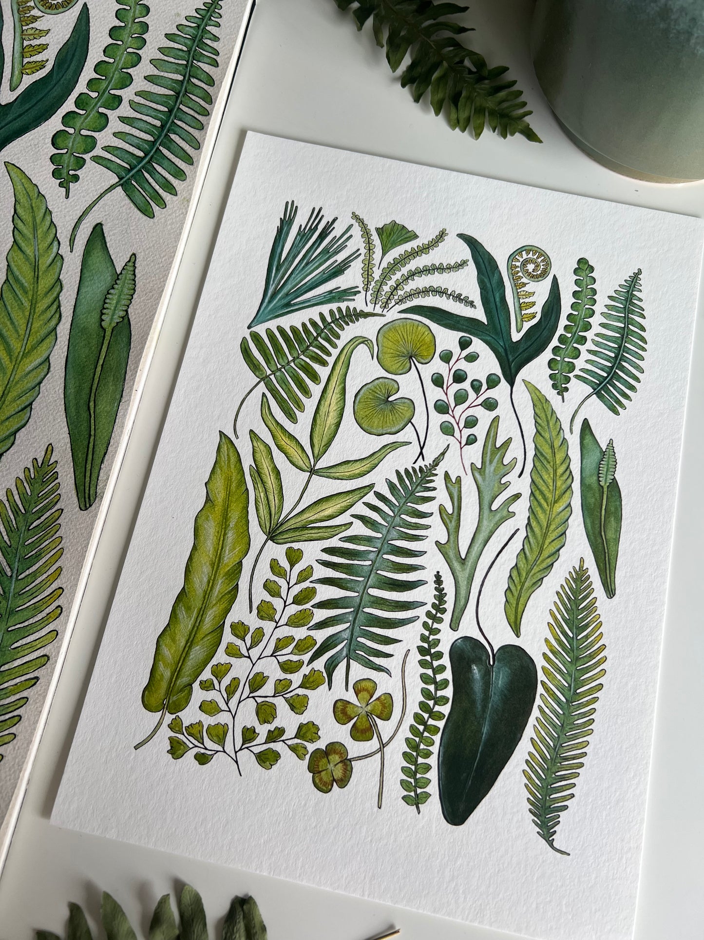 Fern Print