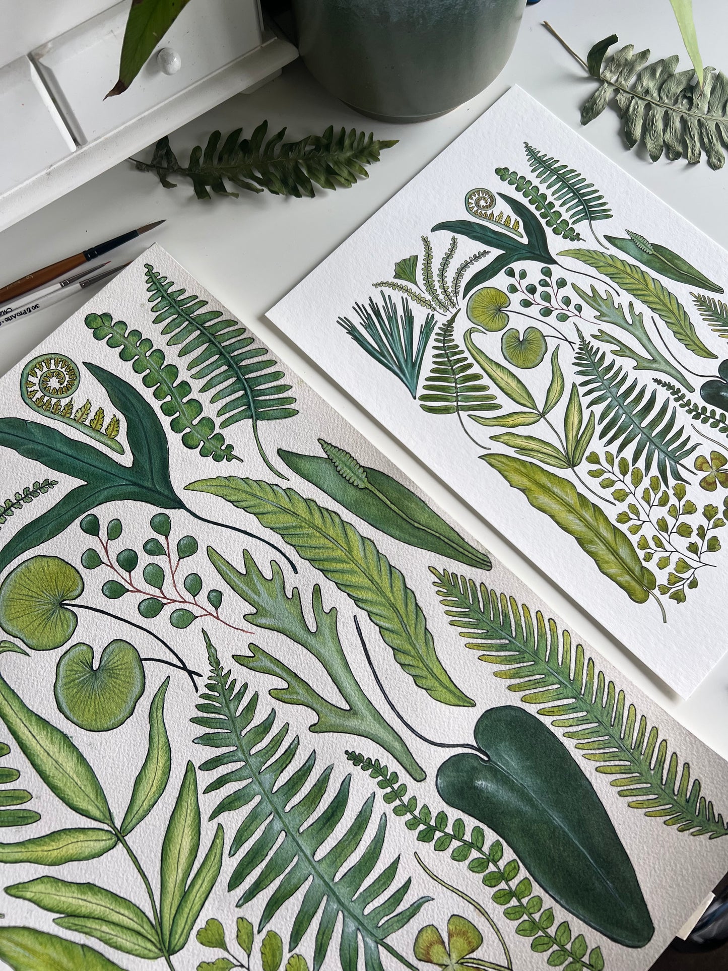 Fern Print