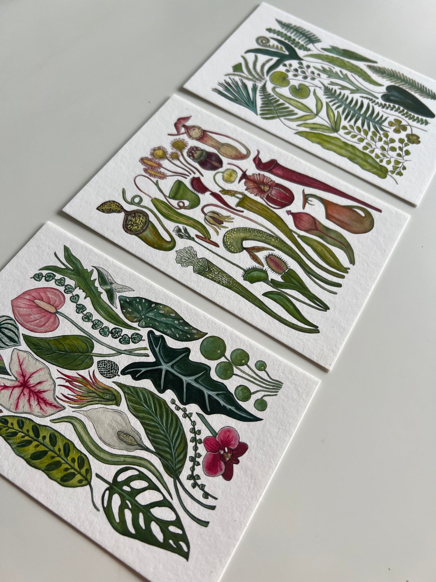 Plants Print Set