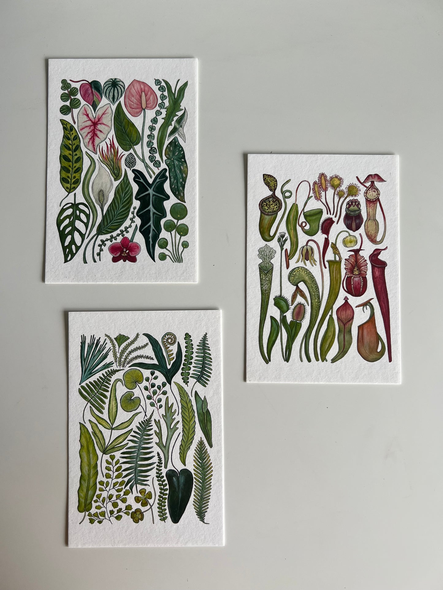 Plants Print Set