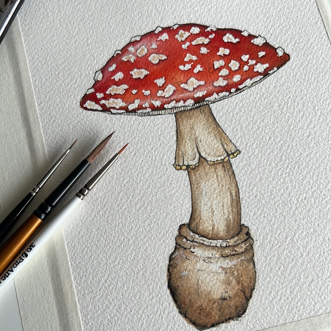 Original Watercolour Fly Agaric Painting