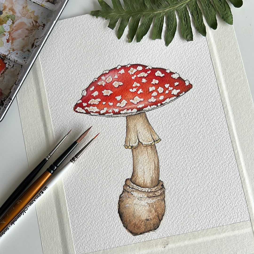 Original Watercolour Fly Agaric Painting